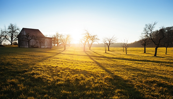 Apport et mise à disposition du bail rural à une société