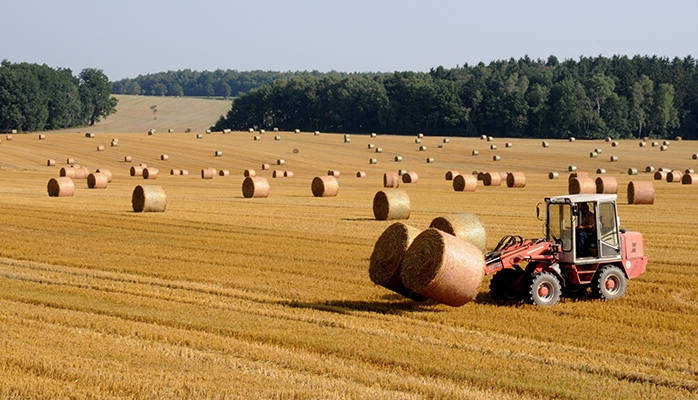 Cession prohibée du bail rural et poursuite de l’exploitation de façon effective et permanente